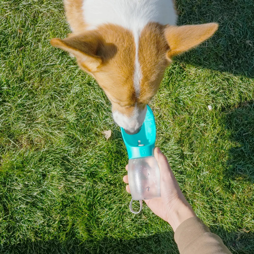Botella de agua portátil para perros y gatos 300 ml