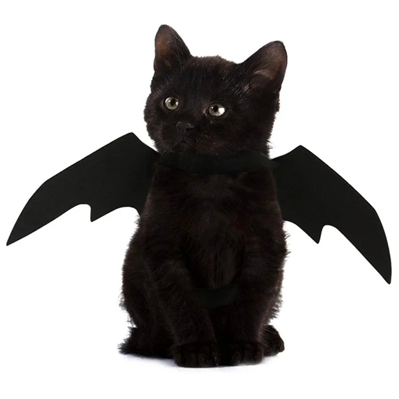 Alas de murciélago con arnés para gatos y perros pequeños